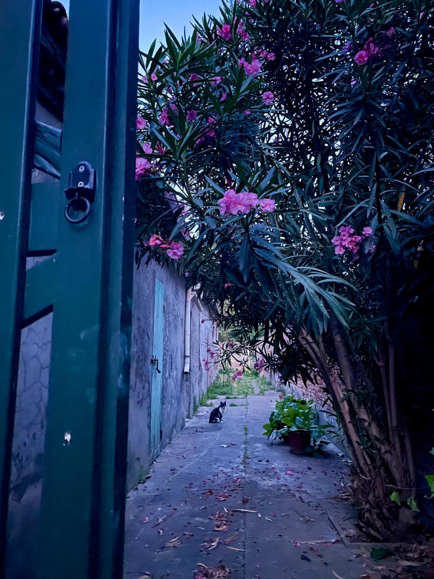 L'Encanto De Luna -Una Casa Autentica Comacchiese Комаккьо Экстерьер фото